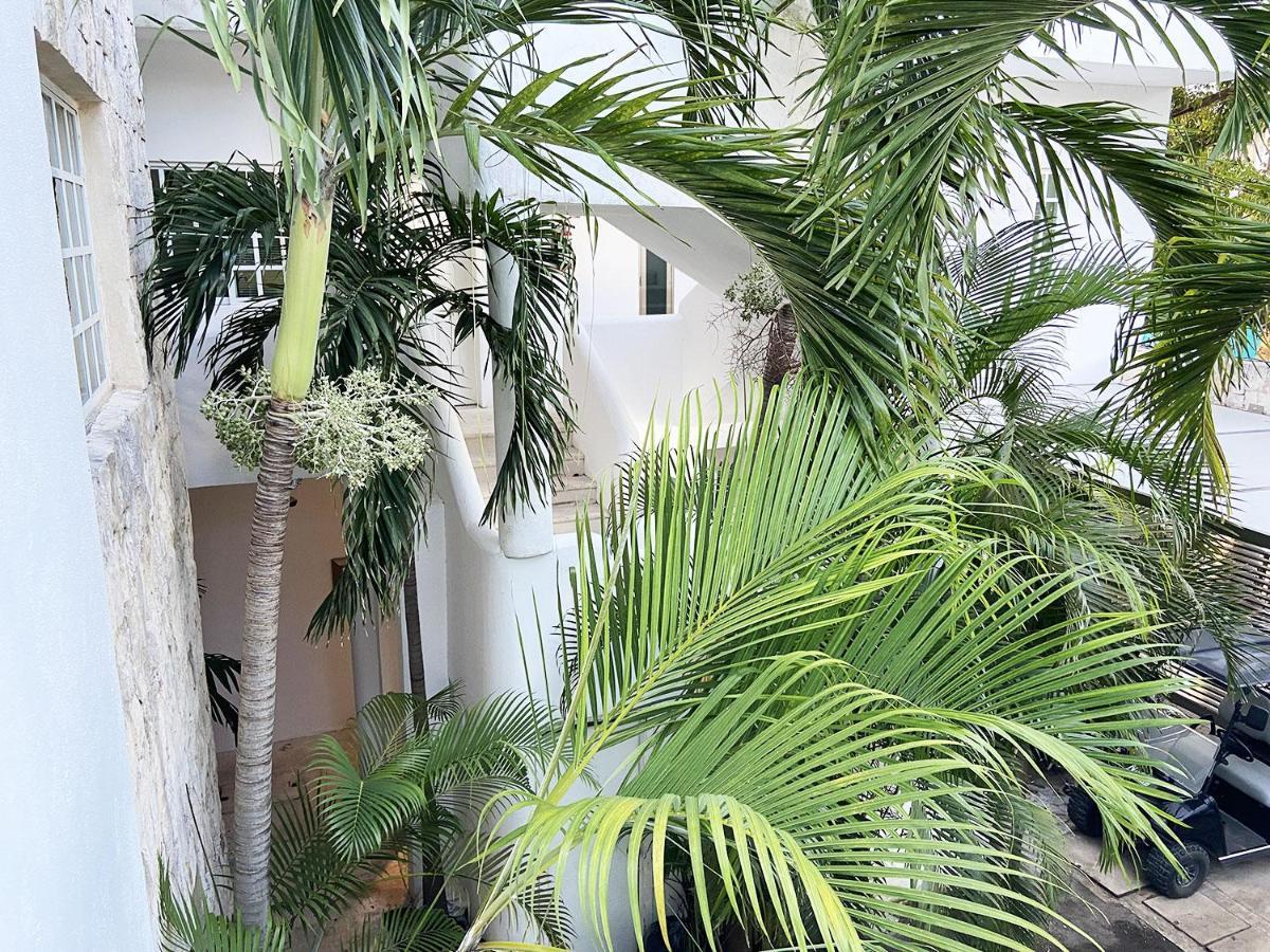 Nasim Condo Hotel Con Acceso Beach Club Gratis, Metros 5Th Avenida ปลายาเดลการ์เมน ภายนอก รูปภาพ